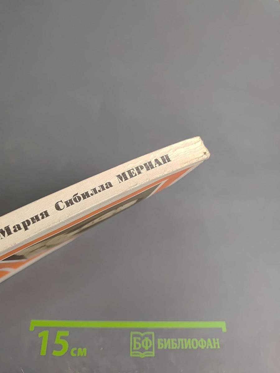 Мария Сибилла Мериан