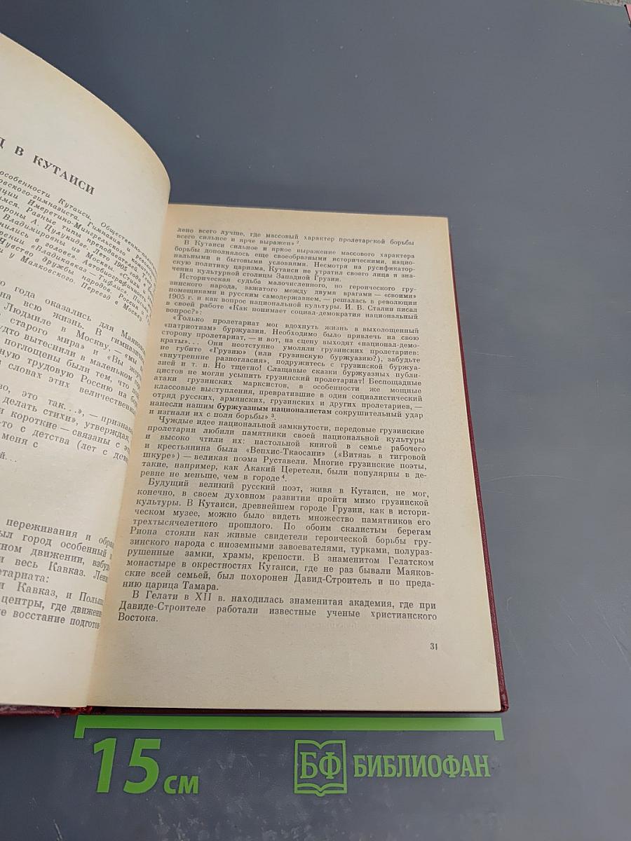 Маяковский. Жизнь и творчество (1893-1917)