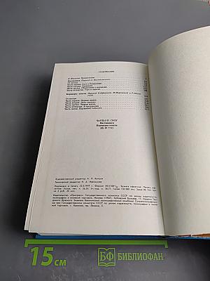 Наставники. Коридоры власти