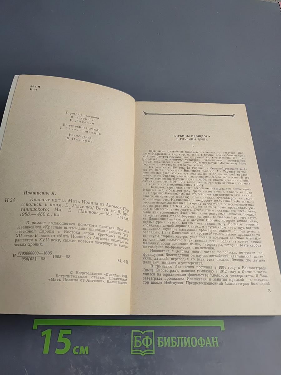 Красные щиты. Мать Иоанна от Ангелов