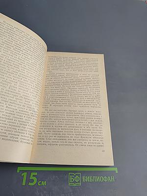 Красные щиты. Мать Иоанна от Ангелов