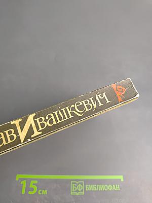 Красные щиты. Мать Иоанна от Ангелов