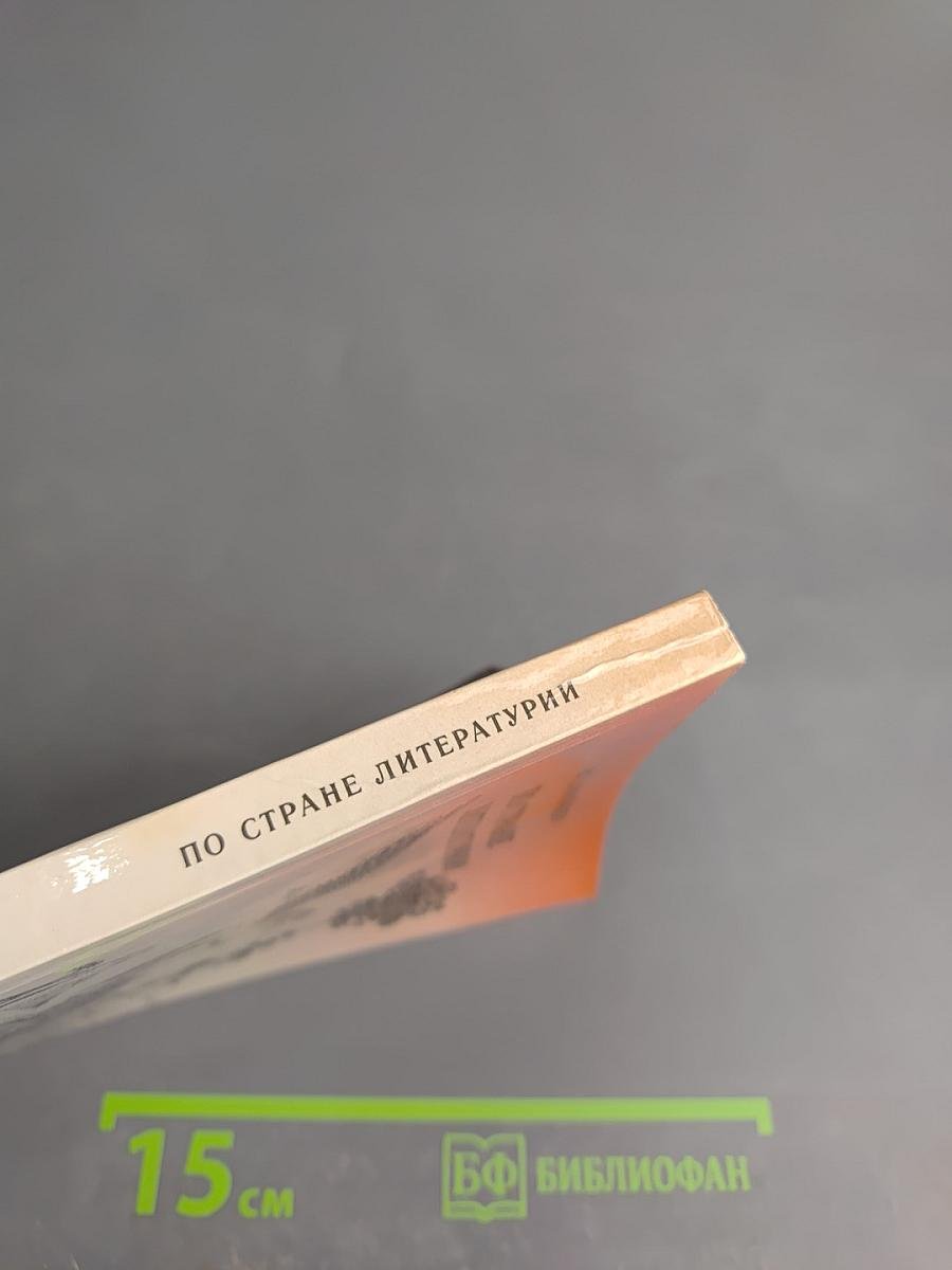 По стране литературии