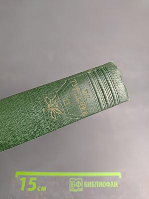 Собрание сочинений. Том одиннадцатый: Литературно-критические статьи и речи, биографические очерки и заметки