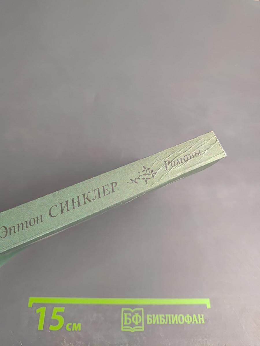 Сильвия. Замужество Сильвии