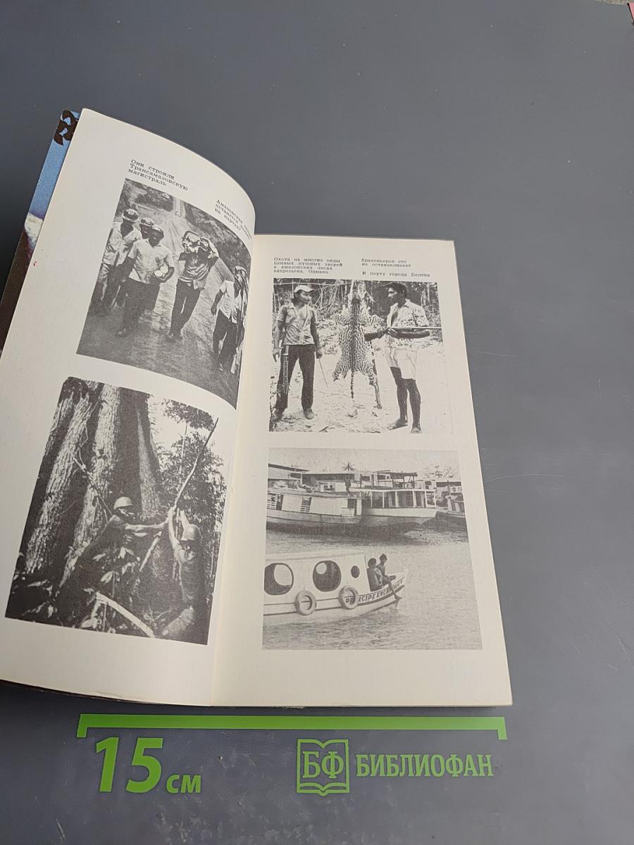 Жангада поднимает парус