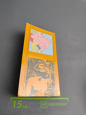 Жангада поднимает парус