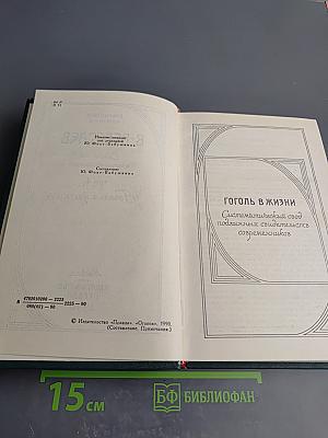 Гоголь в жизни. Том 4