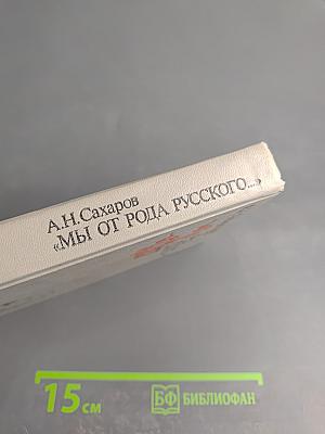Мы от рода русского...: Рождение русской дипломатии