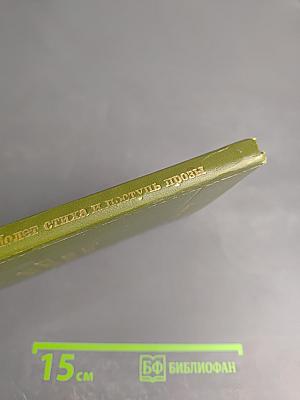 Полет стиха и поступь прозы