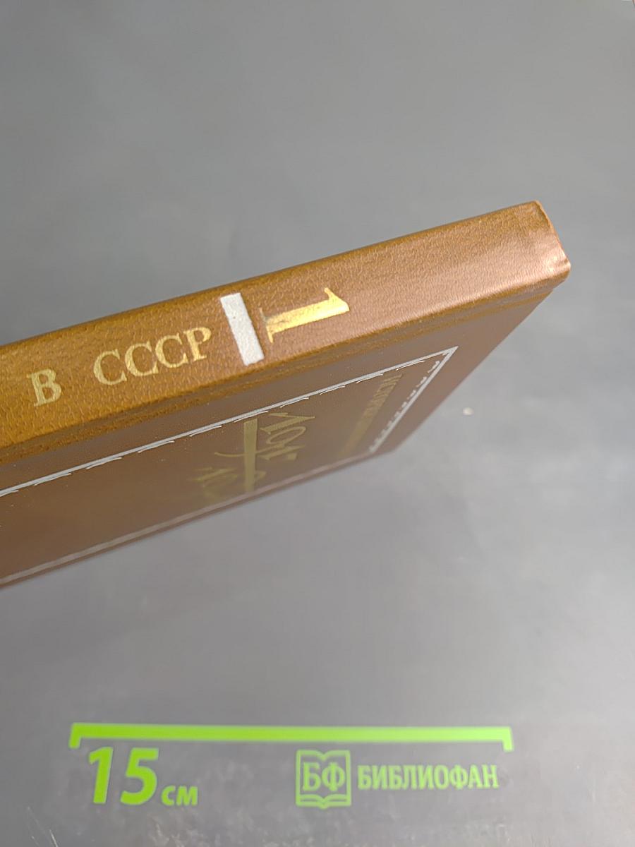 История книги в СССР 1917-1921 Том I