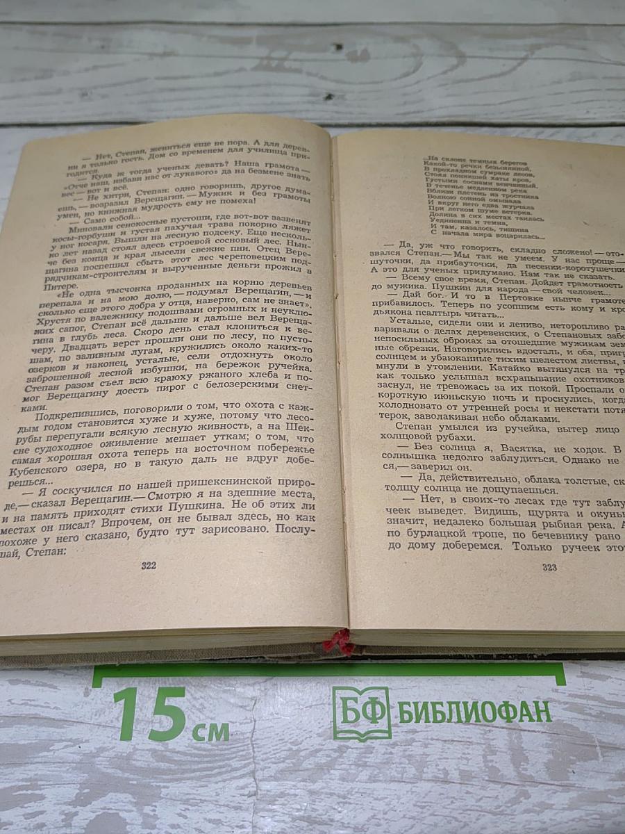 Повесть о Воронихине. Повесть о Верещагине