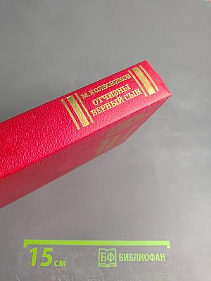 Отчизны верный сын