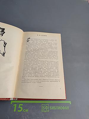 О других и о себе. Новеллы