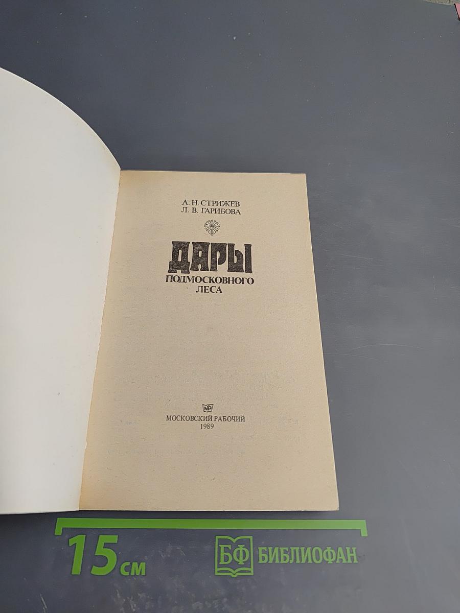 Дары Подмосковного Леса