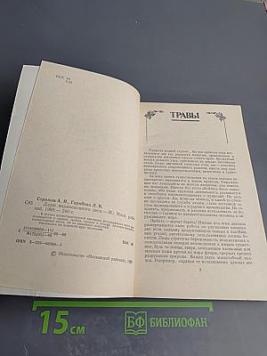 Дары Подмосковного Леса