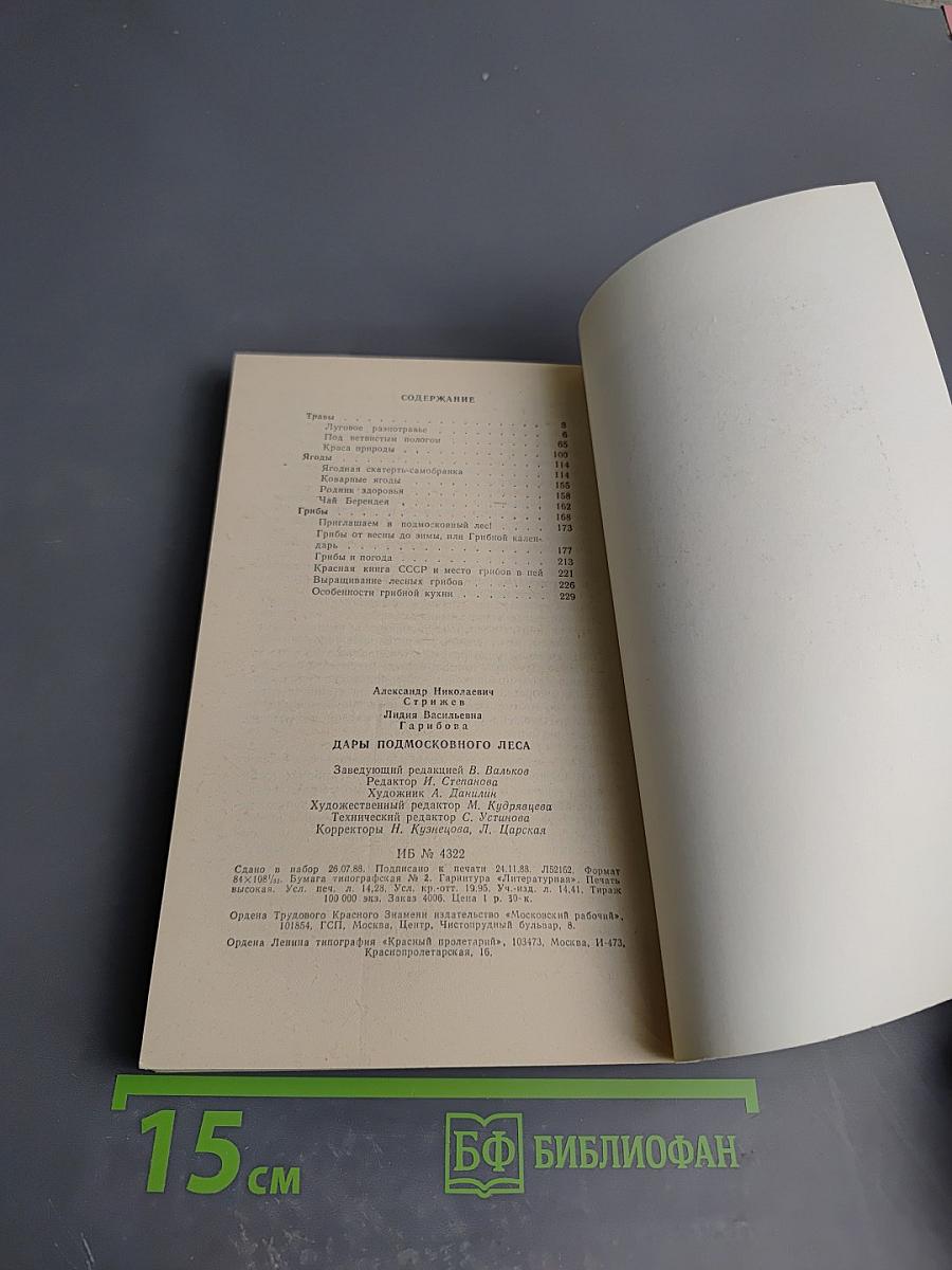 Дары Подмосковного Леса