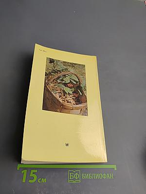 Дары Подмосковного Леса