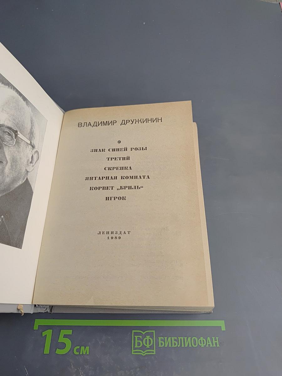Владимир Дружинин: Знак синей розы, Третий, Скрепка, Янтарная комната, Корвет "Бриль", Игрок