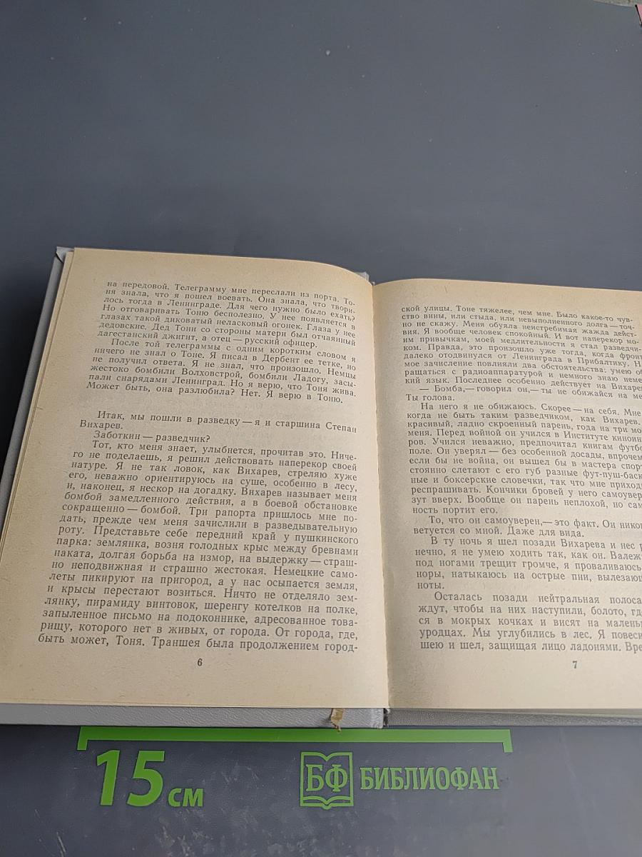 Владимир Дружинин: Знак синей розы, Третий, Скрепка, Янтарная комната, Корвет "Бриль", Игрок