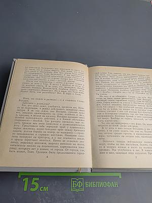 Владимир Дружинин: Знак синей розы, Третий, Скрепка, Янтарная комната, Корвет "Бриль", Игрок