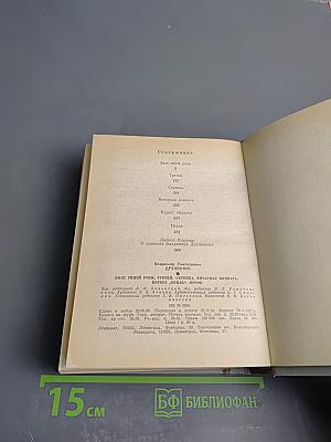 Владимир Дружинин: Знак синей розы, Третий, Скрепка, Янтарная комната, Корвет "Бриль", Игрок