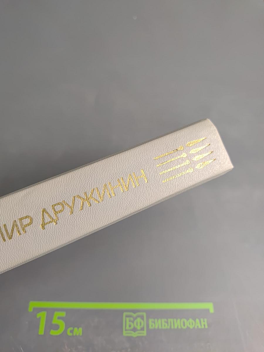 Владимир Дружинин: Знак синей розы, Третий, Скрепка, Янтарная комната, Корвет "Бриль", Игрок