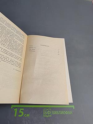 Чудаки. Хромой барин. Егор Абозов