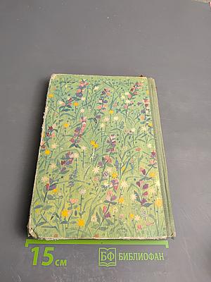 Родные поэты. Стихотворения русских поэтов-классиков XIX и начала XX века