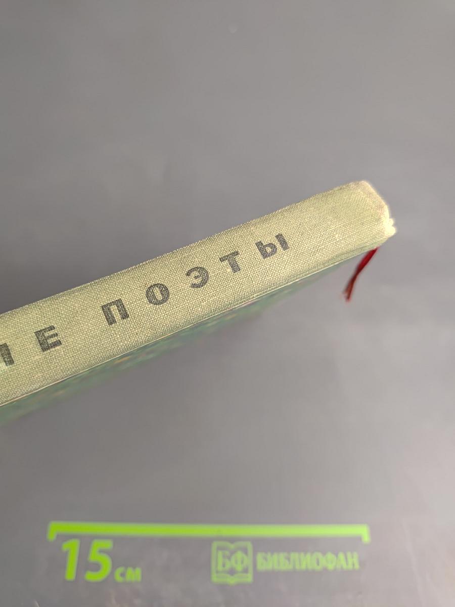 Родные поэты. Стихотворения русских поэтов-классиков XIX и начала XX века