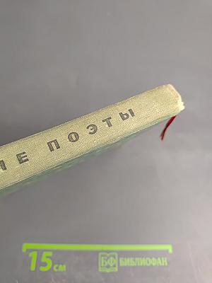 Родные поэты. Стихотворения русских поэтов-классиков XIX и начала XX века