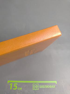 Многоярусный мир. Том 2