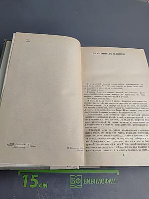 Испытательный срок