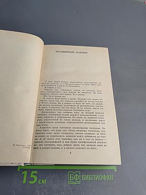 Испытательный срок