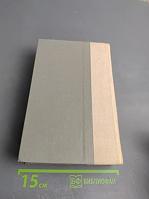 Испытательный срок