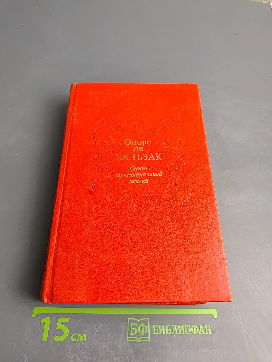 Сцены провинциальной жизни