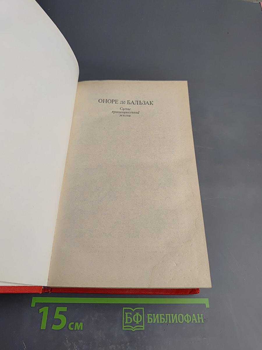 Сцены провинциальной жизни