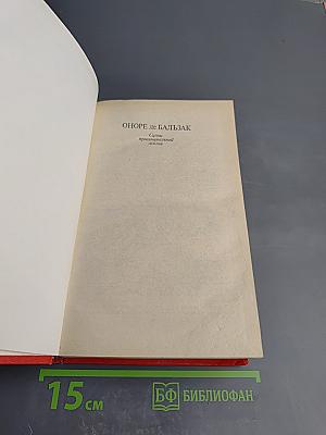 Сцены провинциальной жизни