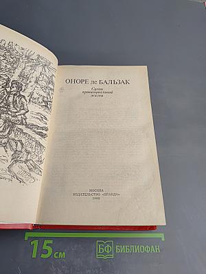 Сцены провинциальной жизни