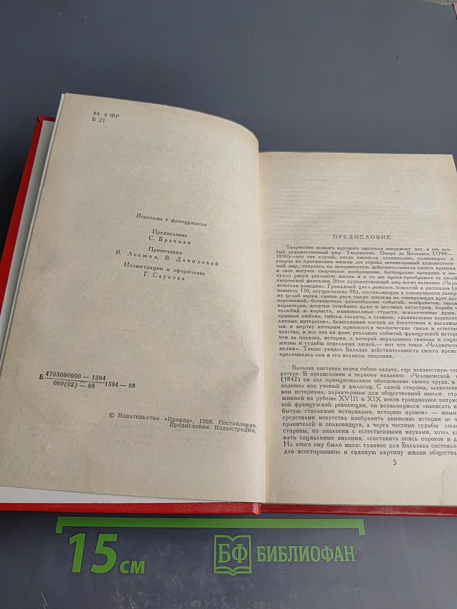 Сцены провинциальной жизни