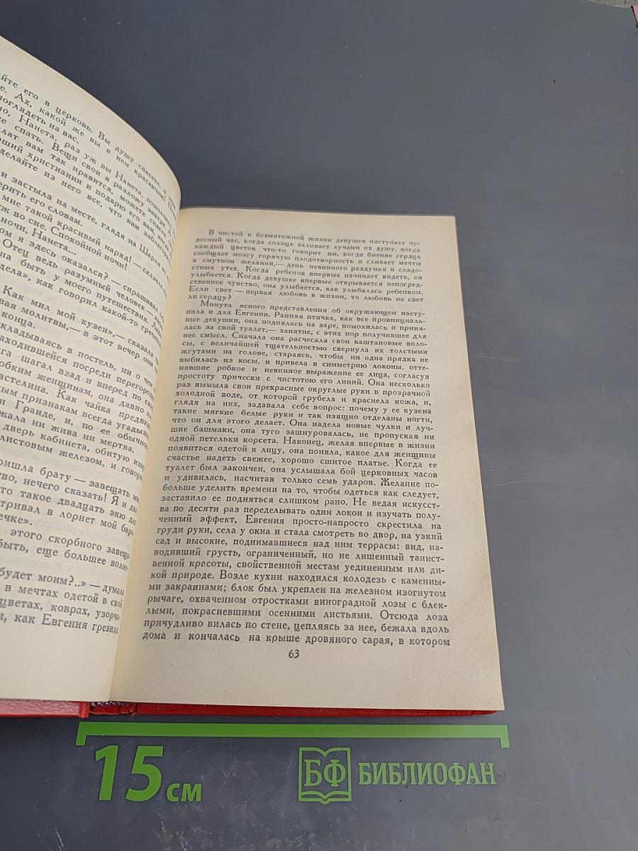 Сцены провинциальной жизни