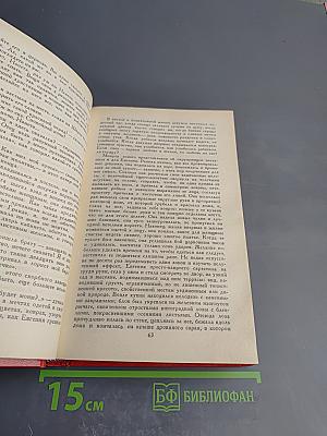 Сцены провинциальной жизни