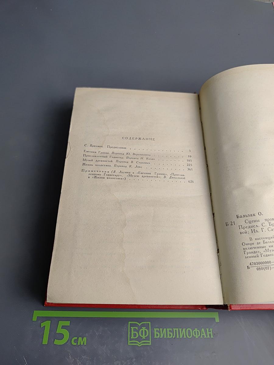 Сцены провинциальной жизни