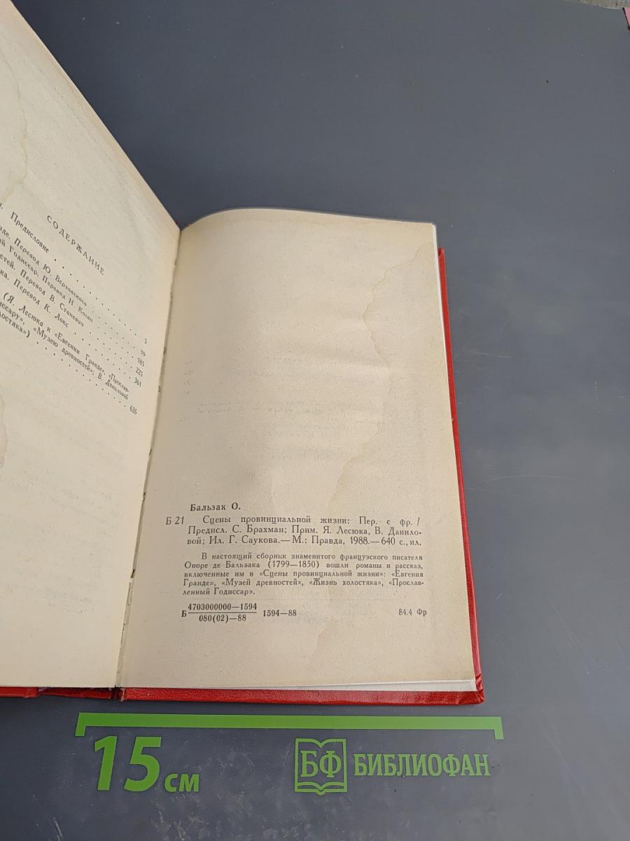 Сцены провинциальной жизни