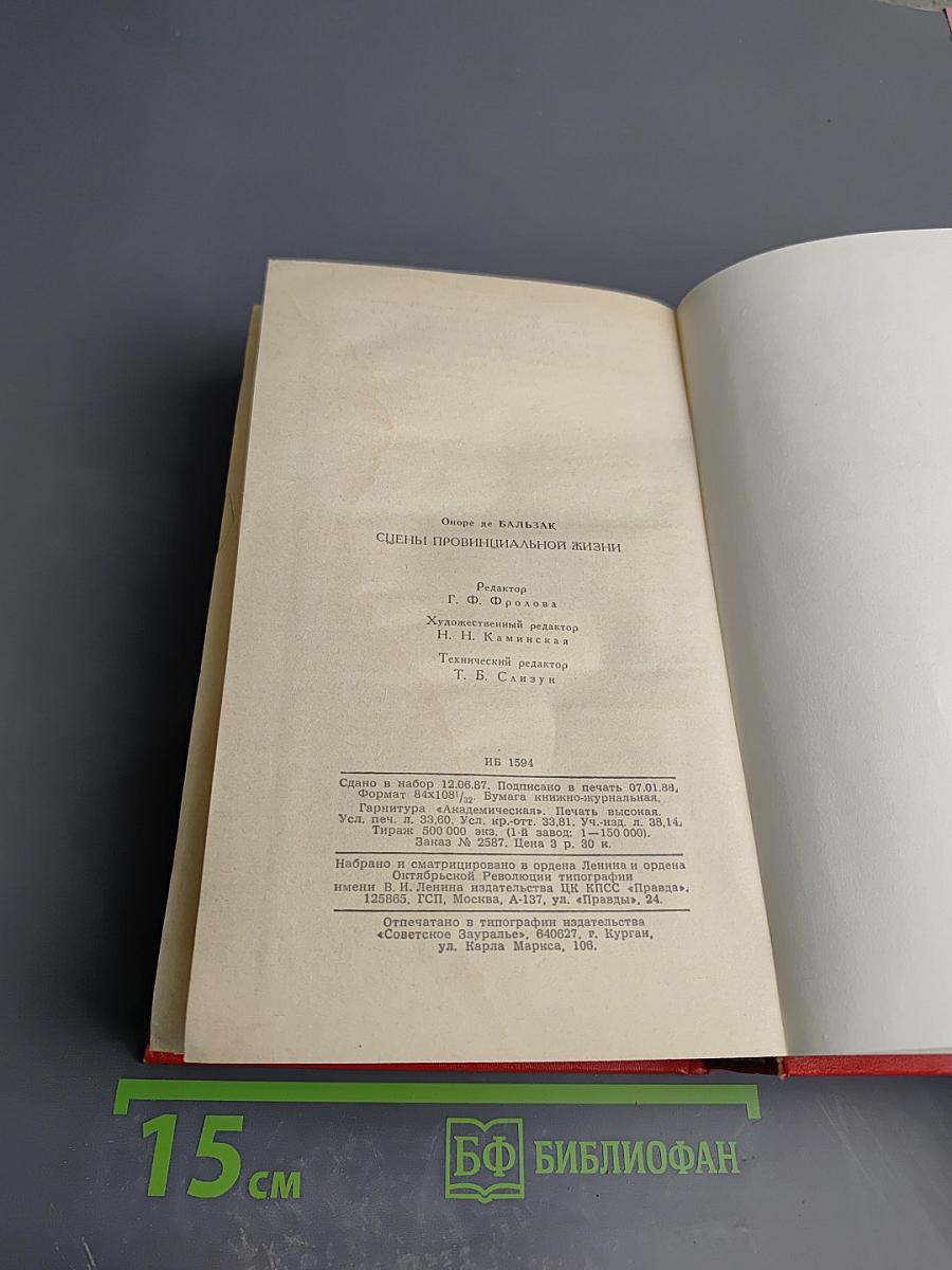 Сцены провинциальной жизни