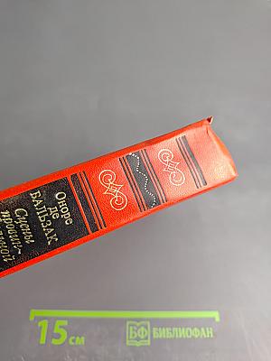 Сцены провинциальной жизни