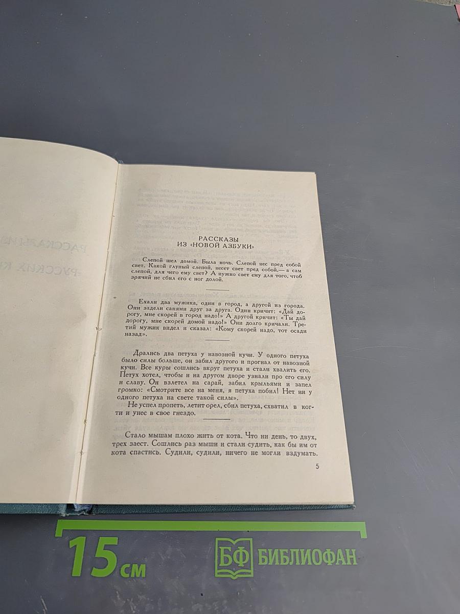 Собрание сочинений в четырнадцати томах. Том десятый. Повести и рассказы (1872-1886)
