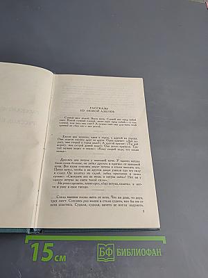 Собрание сочинений в четырнадцати томах. Том десятый. Повести и рассказы (1872-1886)