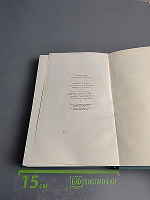 Собрание сочинений в четырнадцати томах. Том десятый. Повести и рассказы (1872-1886)