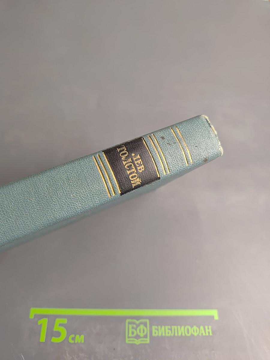 Собрание сочинений в четырнадцати томах. Том десятый. Повести и рассказы (1872-1886)